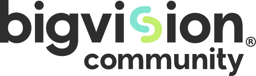 bigvision logo